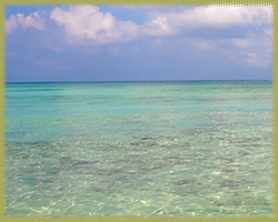 polilio shore 2